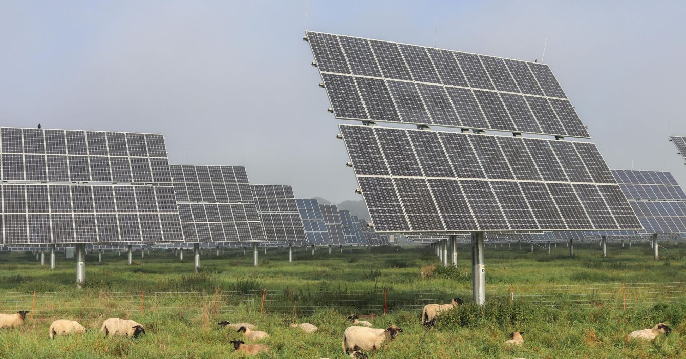 solargrazing solargrazing